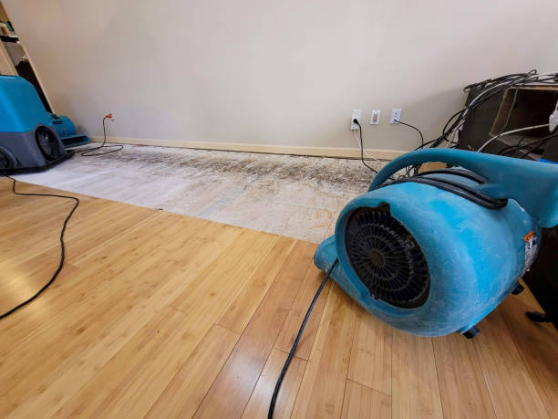 Professional Structural Drying technician working in Twin Lakes, MN